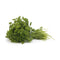 Fresh Produce Herb Parsley Curly Bunch Organic, 1 Each