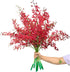 10 Stems of Fresh Red Ascocenda Orchids - Elegant Gift Flowers