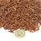 Aquatic Foods Inc. Brine Shrimp Sinking Micro Sticks, APX 3/64" x 1/4" to 5/16" Micro