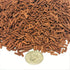 Aquatic Foods Inc. Brine Shrimp Sinking Micro Sticks, APX 3/64" x 1/4" to 5/16" Micro