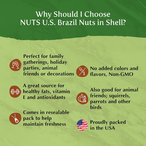Packed (1 LB) NUTS U.S. Brazil Nuts In Shell | No Added Colors and No Artificial Flavors | Non-GMO and Natural | Fresh