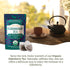 Pack, 100 Starwest Botanicals Organic Elderberry Tea - Caffeine Free Herbal Tea Blend, String Free Sachets, USDA