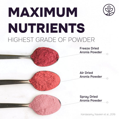 5 Immunity, Jungle Powders Organic Aronia Berry Powder Ounce Bag Freeze Dried Chokeberry Extract from Whole Aronia