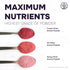 5 Immunity, Jungle Powders Organic Aronia Berry Powder Ounce Bag Freeze Dried Chokeberry Extract from Whole Aronia