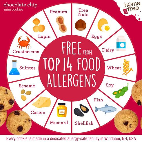 1.1 (Pack 10) Homefree Treats You Can Trust Gluten Free Mini Cookies, Single Serve, Chocolate Chip, Ounce
