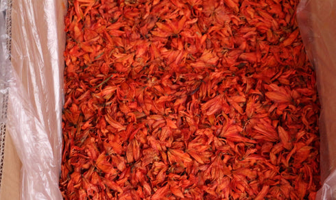 4 OZ TooGet Fragrant Natural Lily Flowers Organic Dried Lilium Flowers Wholesale, Top Grade