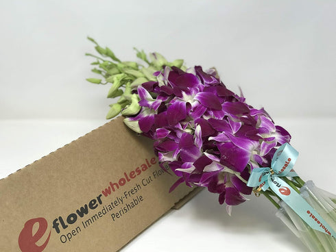 Dendrobium Orchids - Fresh Cut Flowers with Custom Ribbons