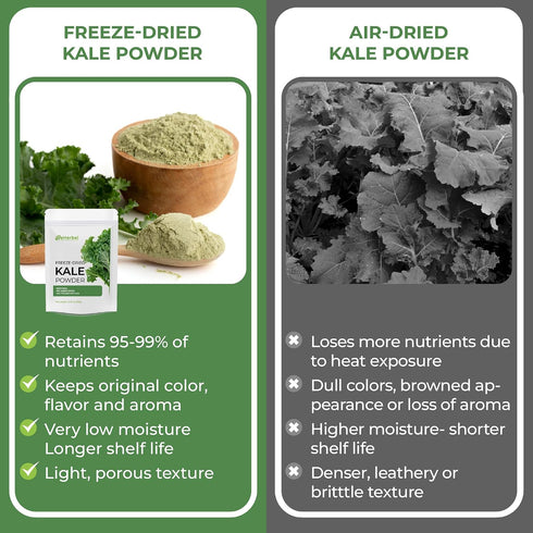 100% 2.43oz eHerbal Freeze-Dried Broccoli Powder Supergreen Food Non-GMO Rich in Nutrients Natural Herbal Flavoring