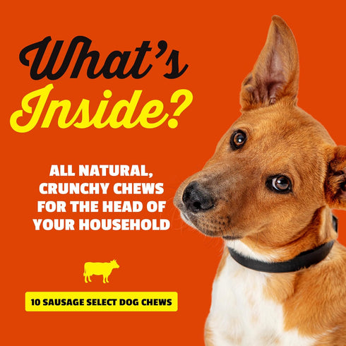 7" 10 Pack etta says! Select Crunchy Dog Chews - Rawhide-Free Dog Treats - Made in the USA - Odor-Free, All-Natural