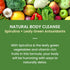 24 Fruniti Super Greens Smoothie Mix - Cleanse + Detox - No Sugar Added - Fruit + Veggie Puree - Spirulina, Spinach