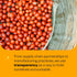Even Keel - Organic Whole Bean Coffee (Kosher) - Freshly Roasted