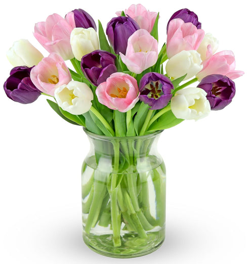Benchmark Bouquets Seasonal Tulip Mix Mothers Day Flowers for Delivery Fresh Cut