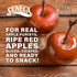 100% 0.7 (Pack 24) Seneca Caramel Apple Chips | Made from Fresh Apples | Red Delicious Apples | Yakima Valley Orchards