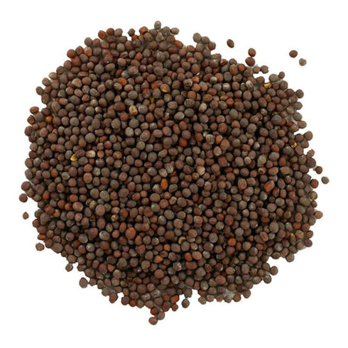 Buy Wellness MUSTARD SEEDS, Brown, USDA Certified Organic Brown Mustard Seeds Great