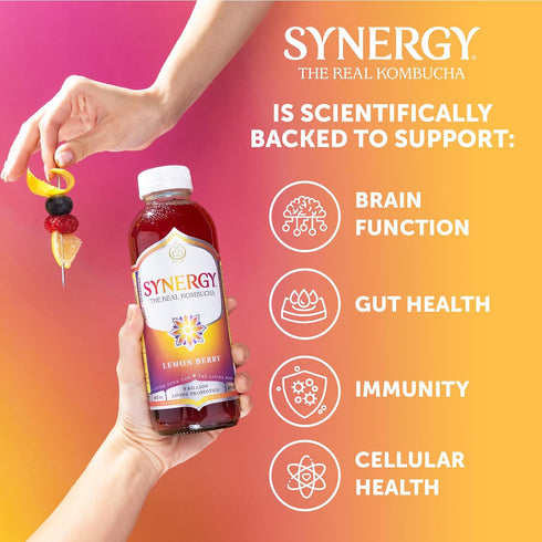 16 oz Immune SYNERGY The Real Kombucha - Lemon Berry - fl Bottle - Raw Probiotic Drink for Gut Health and Support