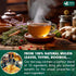 75 FreshDrinkUS, StrongerLungs Tea Bags - Mullein Leaf, Ginseng, Elderberry, Ginger & Thyme - Supports Lung Cleanse