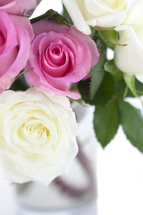 Stemmed Dozen) KaBloom - Bouquet of Long Pink and White Roses (Half - With Vase- Fresh Flowers for Birthday