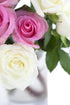 Stemmed Dozen) KaBloom - Bouquet of Long Pink and White Roses (Half - With Vase- Fresh Flowers for Birthday