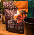 Super Cocoa Coffee Alternative Hot Chocolate Mix - Nootropics Brain Support Supplement for Memory & Focus - Mushroom