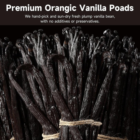 25 Counts SPICEEL Organic Madagascar Vanilla Beans Grade A Vanilla Pods for Making Extract, Whole Vanilla Beans