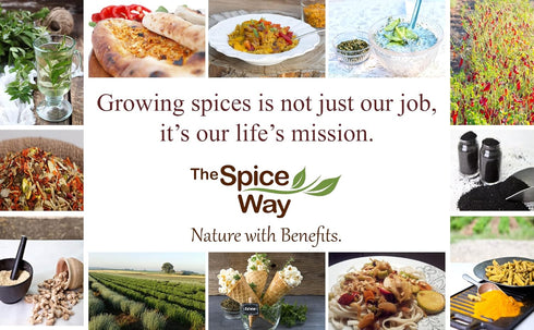 The Spice Way Allspice - Whole Berry (8 oz) for Curries, Sauces, Soups, and Pastries