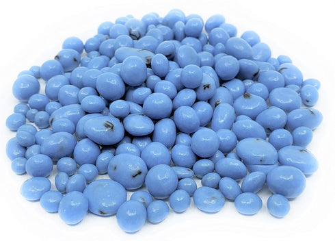 1 lb Greek Yogurt Covered Blueberries by It's Delish, Bulk Bag Scrumptious & Nutritious Yogurt Coated Dried Blueberries