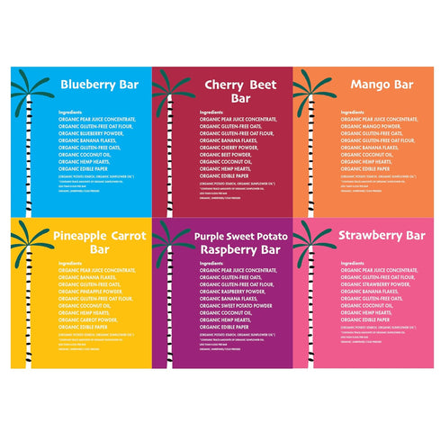 (12 Pack Dino Bars | Organic Fruit Bar for Kids | Organic Toddler Bars and Dinosaur Snacks | Fruit + Oats + Hemp Hearts