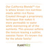 64% 22 (Pack 6) Planet Rice Bulk Sprouted Blonde Rice Bulk - Great for Bulk Cooking - Gaba, Gluten-Free, Vegan, Paleo