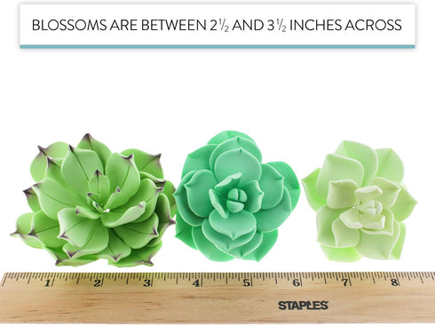Set 3 9 Count Global Sugar Art Succulents Sugar Cake Flower, Sizes, by Chef Alan Tetreault