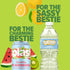 6-Pack, 16.9 Oz SPLASH REFRESHER Flavored Water Bottles, Lemon Flavor - Fl - Refreshing Flavored Bottled Water