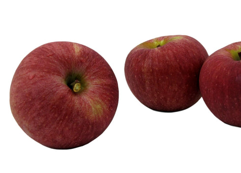 8 Kauffman Orchards Fresh Stayman Apples, Hand-Picked, Box of Apples