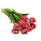 KaBloom - Fresh 10 Peony Pink Tulips with vase - Fresh Flowers