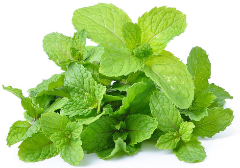 2oz 4oz,Pack 2 Rani Fresh Mint (Pudina) Leaves - of ~ All Natural | Vegan | Gluten Friendly | NON-GMO | Product of USA
