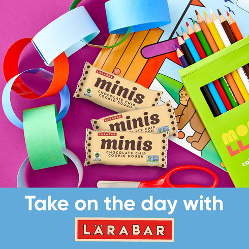 15.6 oz, 20 Larabar Minis Chocolate Chip Cookie Dough, Gluten Free Vegan Fruit and Nut Bars, Ct