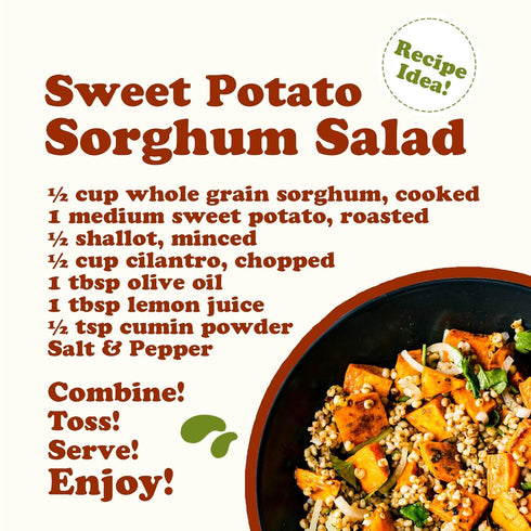 6 Food to Live Organic Italian White Whole Grain Sorghum, Pounds Non-GMO White Groats. Raw Milo Seeds. Vegan, Bulk
