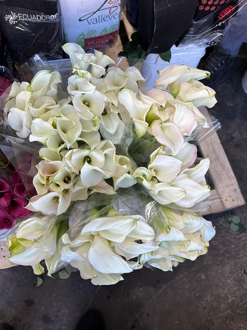 10 Next-day delivery Calla Lilies Fresh Cut Flowers Bouquet Prime Delivery Gifts for Birthday Anniversary Friendship