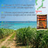 Molasses)250g/9oz 100% GOHAN JAPAN Okinawa Powdered KOKUTO (Raw Sugar + Unrefined Cane Sugar + Sugarcane made from