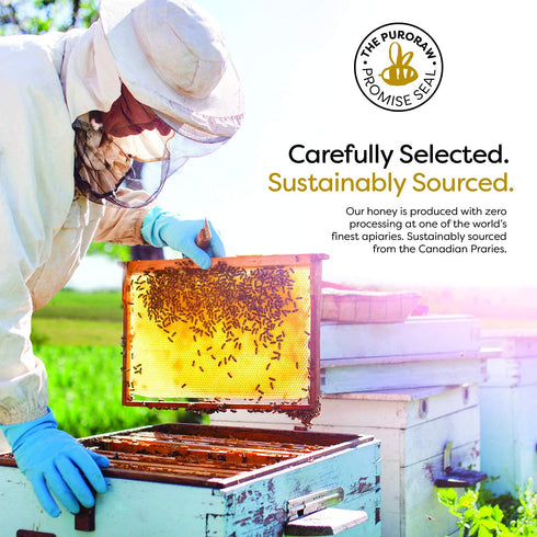 Fladora 2.2 lb. 2.2 Raw Honey, White Honey, Raw Unfiltered Honey, Pure Honey, Natural Honey Raw Unfiltered, White Raw