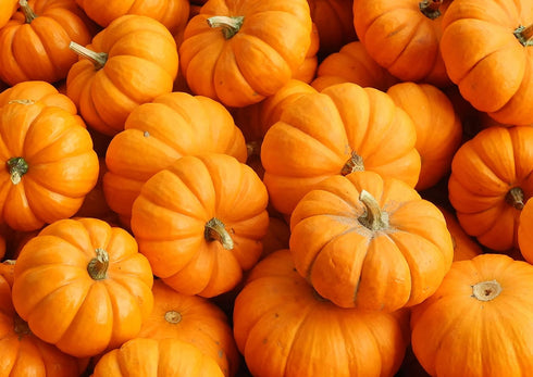 2 100% Food to Live Organic Pumpkin Fruit Powder, Pounds Non-GMO, Milled Dried Pumpkin, Pure, No Additives, Vegan