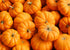 2 100% Food to Live Organic Pumpkin Fruit Powder, Pounds Non-GMO, Milled Dried Pumpkin, Pure, No Additives, Vegan