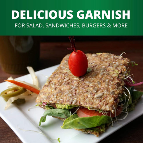 16 oz (3 Pack) Pickerfresh Fire Roasted Eggplant with Red Peppers - Medium Hot Spread for Sandwiches, Hamburgers