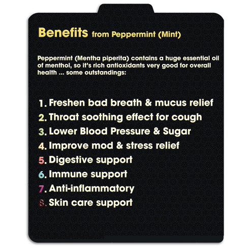 TFATHER Peppermint (Mint) Tea Bags Pyramid with String - Strong Taste of Menthol - Premium Peppermint Leaves (Mentha