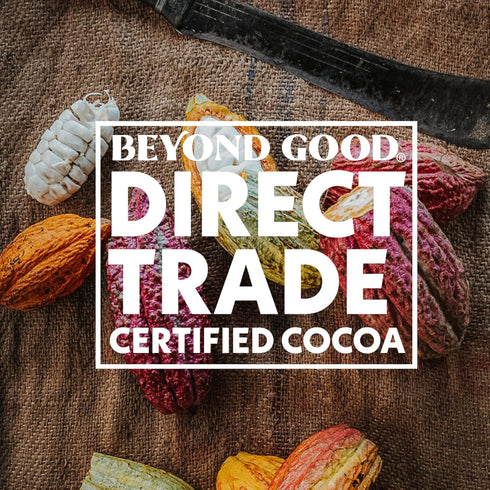 73% 6 Pack Beyond Good Cocoa Dark Chocolate with Hazelnuts | - Chocolate Bars | Direct Trade, Vegan, Kosher, Non-GMO |