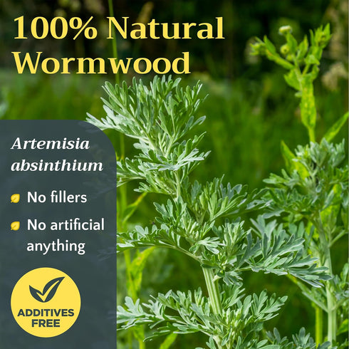 4oz Wormwood Herb Tea - Natural Artemisia Absinthium - Dried Cut and Sifted Herds Loose Bulk