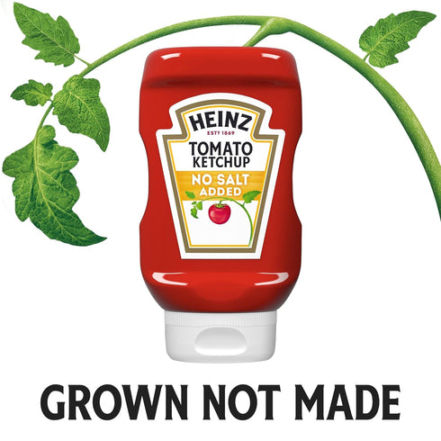 14 oz Heinz Tomato Ketchup with No Salt Added, Bottle