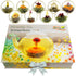 Blooming Tea & Edible Flower Infusions, Green Tea, 24 Unique Flavors Gift