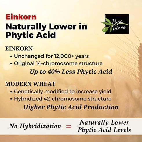 2.2 LB Organic Einkorn Flour Made in Italy, Organic Ancient Grain, Non-Enriched, Unbleached, Unbromated, High Fiber