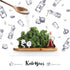1.41 Oz, Kale Bros Kale Chips, The Classic, Single Bags, Mix-And-Match, Vegan/Gluten-Free/Paleo/Keto/Allergen friendly