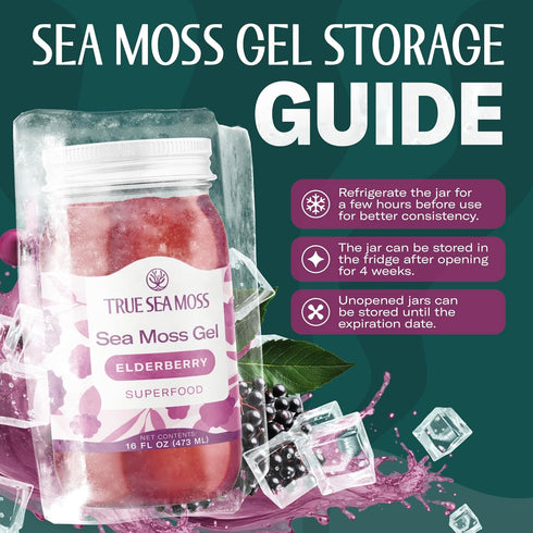 Pack 1 TrueSeaMoss Sea Moss Gel Made in USA Wildcrafted Seamoss, Fruits & Jarred Vegetables Elderberry, of (Labels may