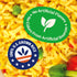 8.8 oz (Pack 12) BEN'S ORIGINAL Ready Rice Garden Vegetable Flavored Rice, Easy Dinner Side, Pouch